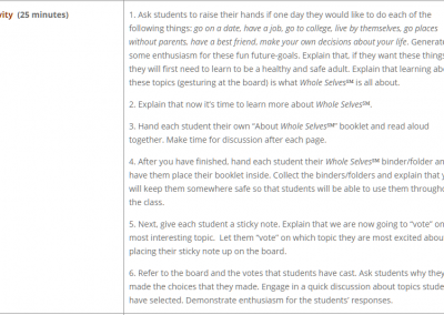 What is Whole Selves - Activity Description